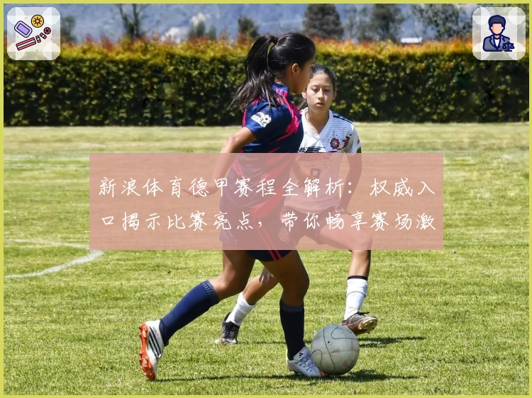 新浪体育德甲赛程全解析:权威入口揭示比赛亮点,带你畅享赛场激情