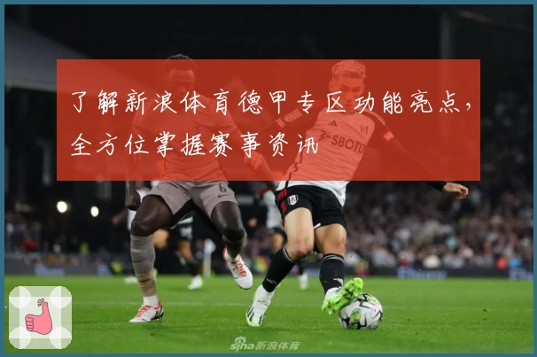 了解新浪体育德甲专区功能亮点，全方位掌握赛事资讯