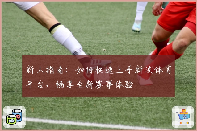 新人指南：如何快速上手新浪体育平台，畅享全新赛事体验