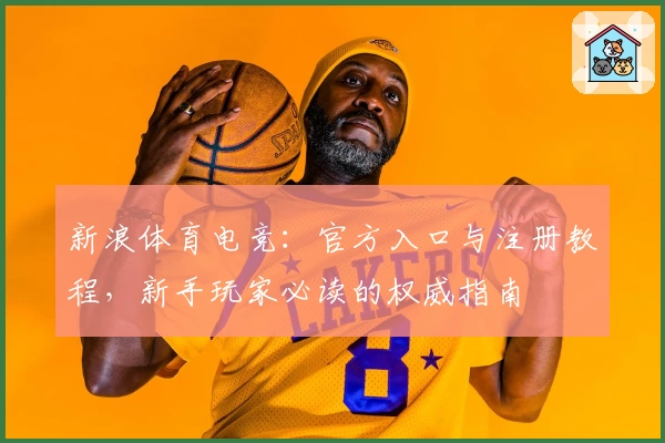 新浪体育电竞：官方入口与注册教程，新手玩家必读的权威指南