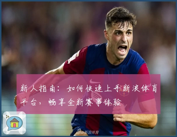 新人指南：如何快速上手新浪体育平台，畅享全新赛事体验