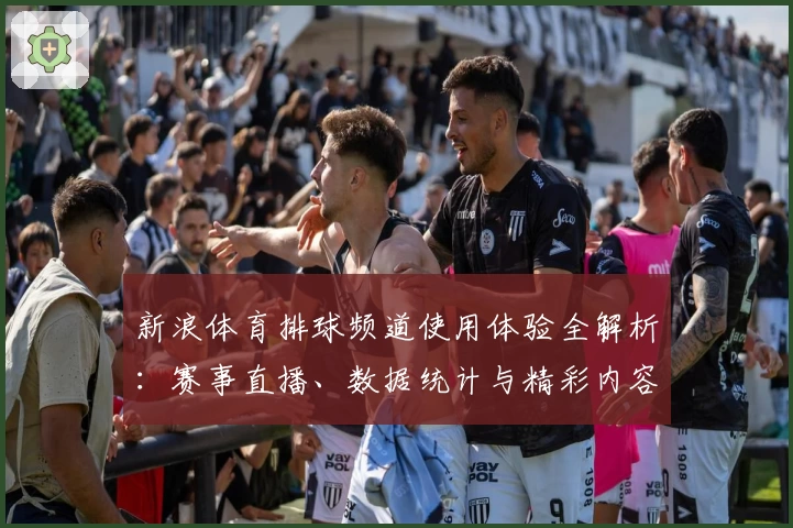 新浪体育排球频道使用体验全解析：赛事直播、数据统计与精彩内容一网打尽