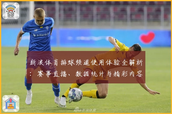 新浪体育排球频道使用体验全解析：赛事直播、数据统计与精彩内容一网打尽