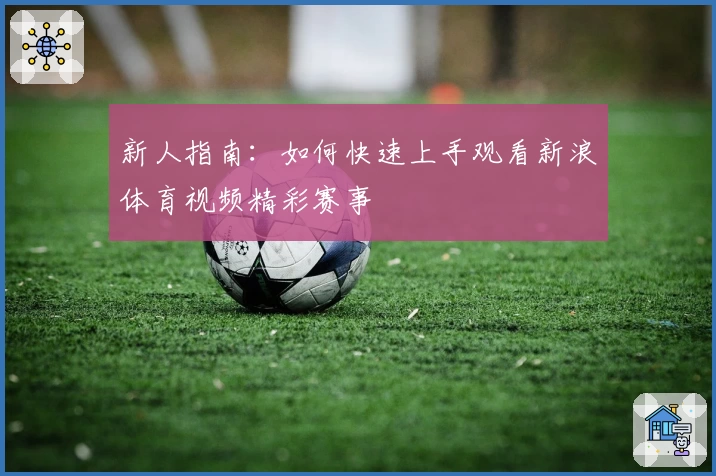 新人指南:如何快速上手观看新浪体育视频精彩赛事