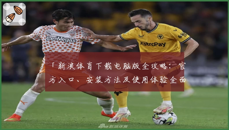 「新浪体育下载电脑版全攻略：官方入口、安装方法及使用体验全面解析」
